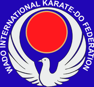 clases de karate paloma sola blanco