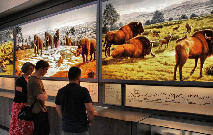 museo neocuevas altamira en cantabria