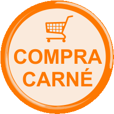 carné alberguista - carnet REAJ