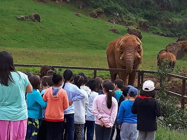 cabarceno con niños escolares