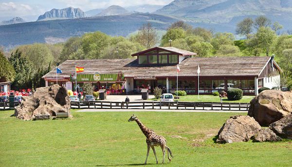 restaurante osos cantabria cabárceno