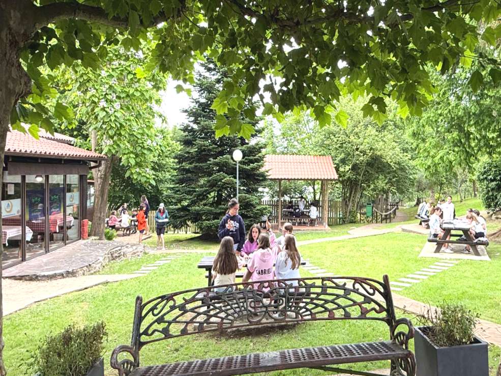 zona picnic